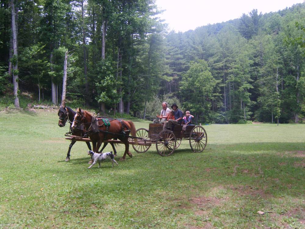 TOP NORTH CAROLINA EQUESTRIAN CAMP: Turtle Island Preserve is a Top Equestrian Summer Camp located in Boone North Carolina offering many fun and enriching Equestrian and other camp programs. Turtle Island Preserve also offers CIT/LIT and/or Teen Leadership Opportunities, too.