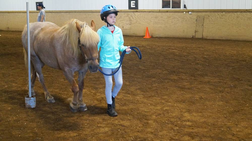 TOP OHIO EQUESTRIAN CAMP: Pegasus Farm Summer Day Camp Programs is a Top Equestrian Summer Camp located in Hartville Ohio offering many fun and enriching Equestrian and other camp programs. 