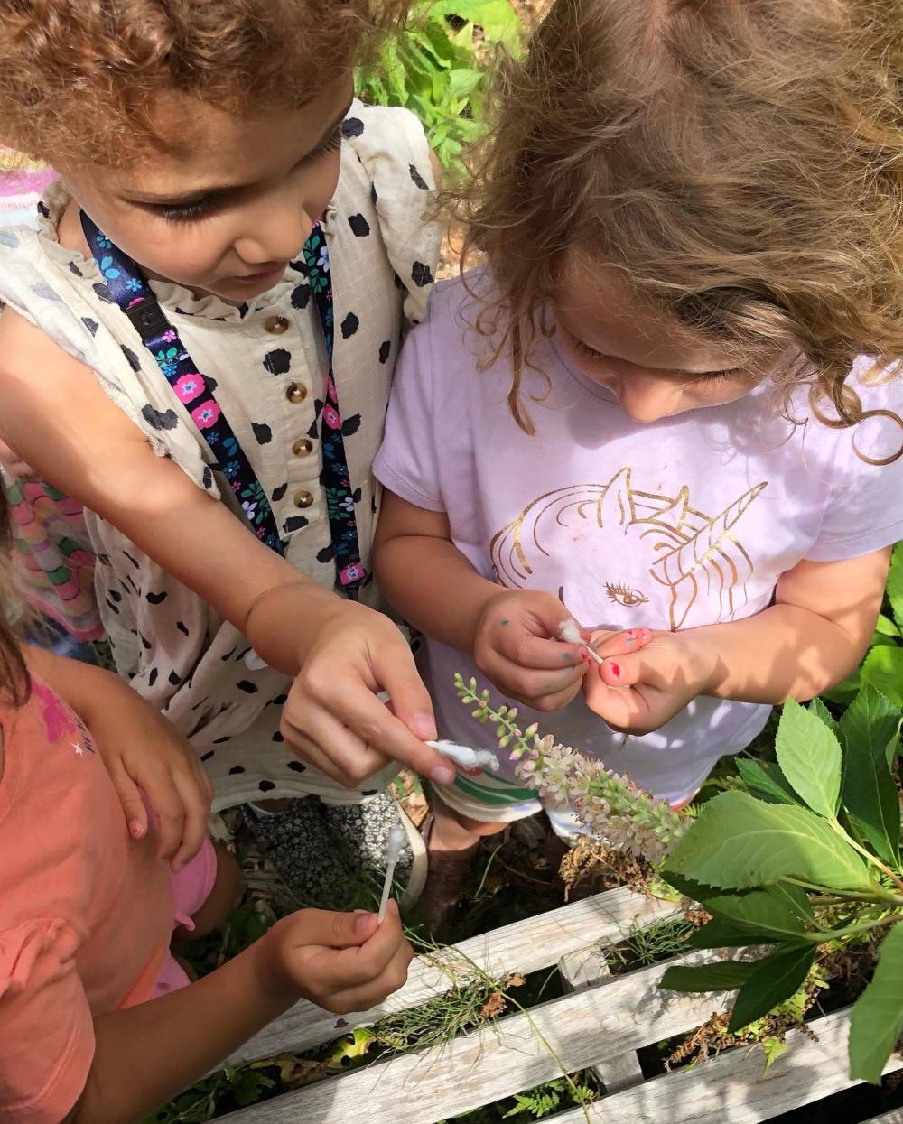 TOP NEW JERSEY COED CAMP: Cora Hartshorn Nature Discovery  is a Top Coed Summer Camp located in Short Hills New Jersey offering many fun and enriching Coed and other camp programs. 