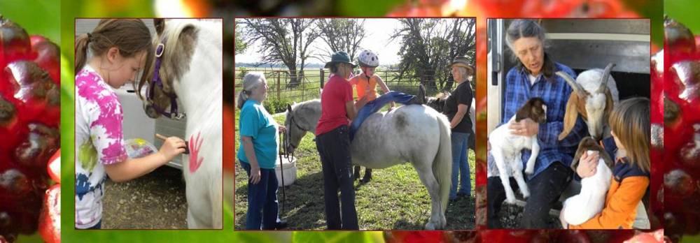 TOP KANSAS FAMILY CAMP: Engler  Farm Horsemanship Day Camps is a Top Family Summer Camp located in Marion Kansas offering many fun and enriching Family and other camp programs. Engler  Farm Horsemanship Day Camps also offers CIT/LIT and/or Teen Leadership Opportunities, too.