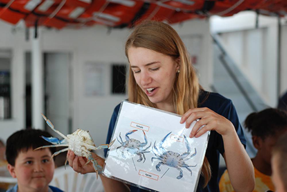 TOP MARYLAND ART CAMP: Annapolis Maritime Museum & Park Summer Camp is a Top Art Summer Camp located in Annapolis Maryland offering many fun and enriching Art and other camp programs. 