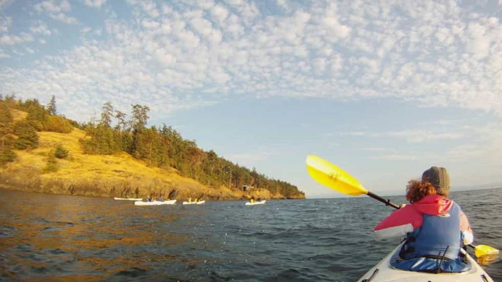 TOP WASHINGTON COED CAMP: Salish Sea Sciences is a Top Coed Summer Camp located in Friday Harbor Washington offering many fun and enriching Coed and other camp programs. 