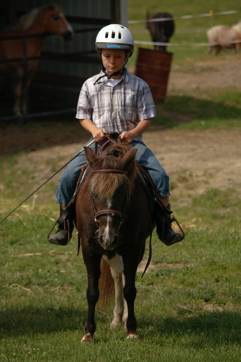 TOP PENNSYLVANIA EQUESTRIAN CAMP: Fairview Farm and Guest Ranch - Rough Riders Girl s Camp is a Top Equestrian Summer Camp located in Granville Summit Pennsylvania offering many fun and enriching Equestrian and other camp programs. 