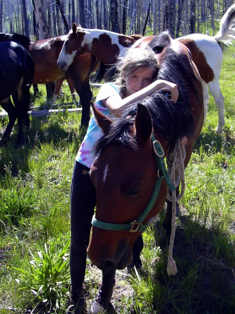 TOP WYOMING EQUESTRIAN CAMP: Bedroll and Breakfast is a Top Equestrian Summer Camp located in Jackson Wyoming offering many fun and enriching Equestrian and other camp programs. 