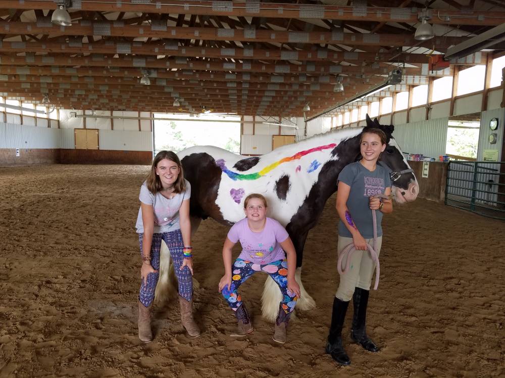 TOP KANSAS HORSE RIDING CAMP: Hearts & Hooves Summer Camp is a Top Horse Riding Summer Camp located in Bucyrus Kansas offering many fun and enriching Horse Riding and other camp programs. 