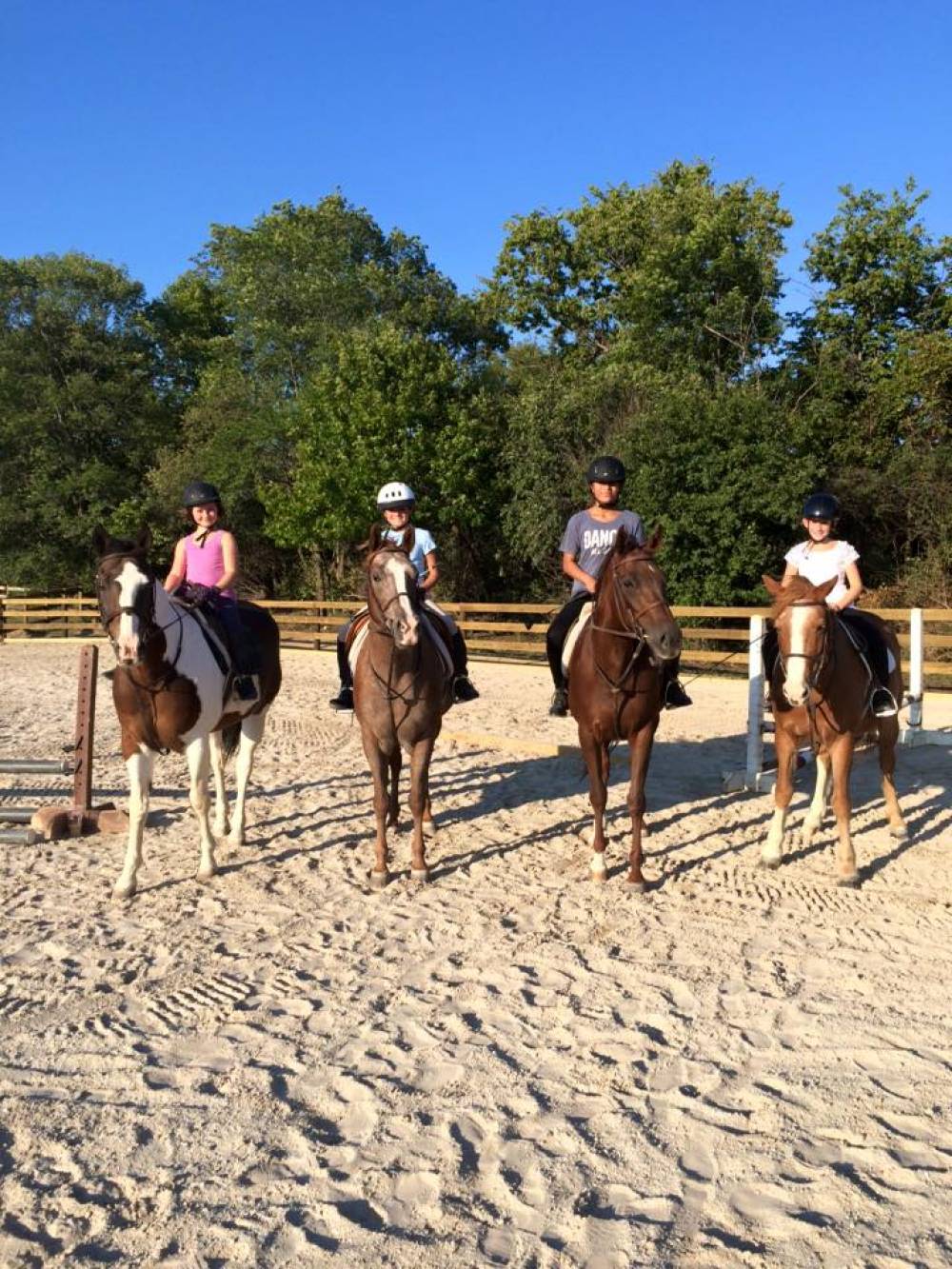 TOP ILLINOIS COED CAMP: Windridge Farm Summer Horse Camp is a Top Coed Summer Camp located in Bolingbrook Illinois offering many fun and enriching Coed and other camp programs. 