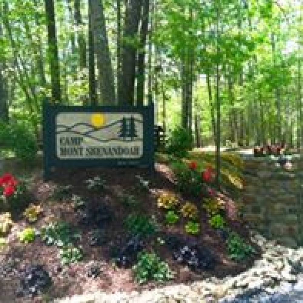 TOP VIRGINIA SWIM CAMP: Camp Mont Shenandoah is a Top Swim Summer Camp located in Millboro Springs Virginia offering many fun and enriching Swim and other camp programs. 