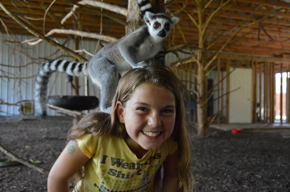 TOP MISSOURI SUMMER CAMP: Animal Camp - Cub Creek Science Camp is a Top Summer Camp located in Rolla Missouri offering many fun and enriching camp programs. Animal Camp - Cub Creek Science Camp also offers CIT/LIT and/or Teen Leadership Opportunities, too.