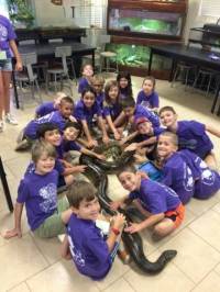 Reptile Encounters is a Top Summer Camp located in Scottsdale Arizona offering many fun and educational camp activities, including: Academics, Adventure, Science and more. Reptile Encounters is a top camp for ages: 6 -14.