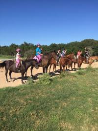 Hunters Chase Farms Inc. is a Top Resident Summer Camp located in Wimberley Texas offering many fun and educational Resident and other activities, including: Horses/Equestrian, Swimming, Adventure and more. Hunters Chase Farms Inc. is a top Resident Camp for ages: 5 - 18.