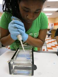 Clemson University Summer Science Camps is a Top Summer Camp located in Clemson South Carolina offering many fun and educational camp activities, including: Science, Technology, Academics and more. Clemson University Summer Science Camps is a top camp for ages: Grades 5-12.