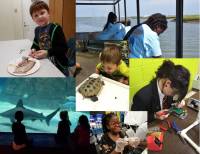 Summer Sea Camp is a Top Technology Summer Camp located in Camden New Jersey offering many fun and educational Technology and other activities, including: Wilderness/Nature, Science, Technology and more. Summer Sea Camp is a top Technology Camp for ages: 6-12.